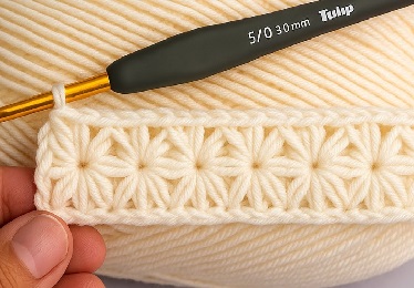 Aprende a tejer hermosa blusa crochet